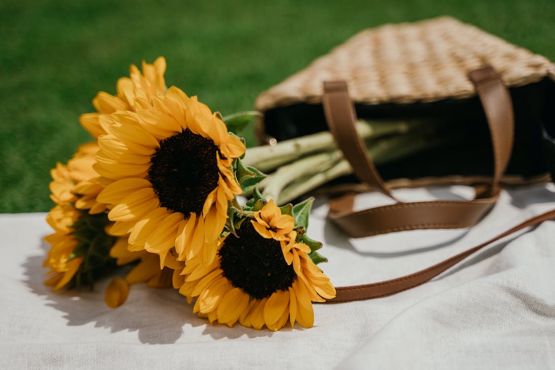 Bright and cheerful sunflowers bring a sense of warmth and happiness. 